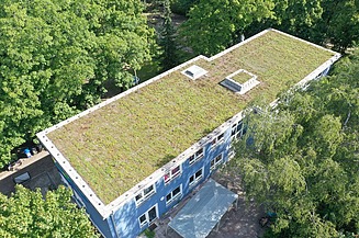 Oblique view of a public building with an extensively greened flat roof, surrounded by dense trees and other green areas.