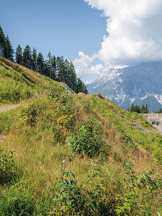 A grassy slope dotted with trees next to an open quarry in an alpine landscape; in the background, a striking mountain range rises against a cloudy sky.