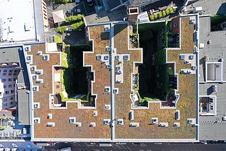 Aerial view of several buildings with green flat roofs on which vegetation areas, roof structures and technical elements are evenly arranged.